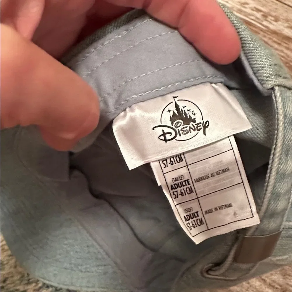 Lot of Disney Parks Hats